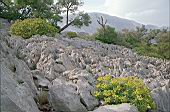 Supramonte di Orgosolo, Monte Tiscali